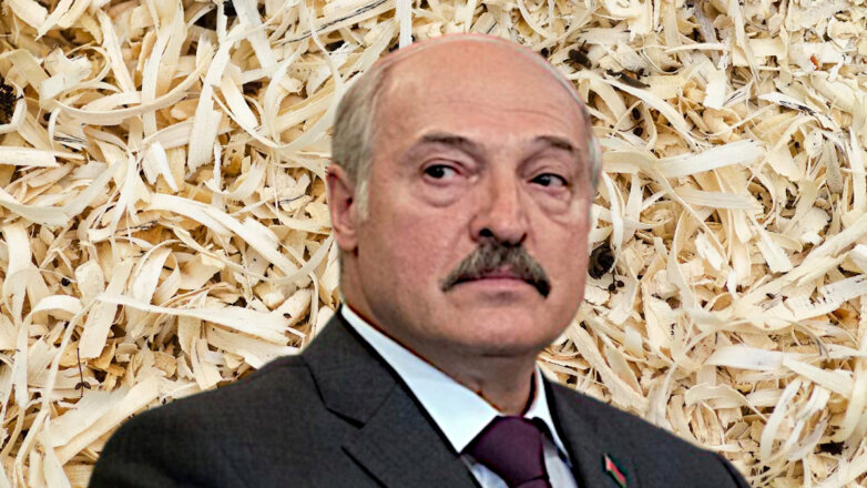 Лукашенко призвал использовать опилки вместо нефти
