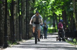 Потепление не будет долгим: в Москву снова придут похолодание и дожди