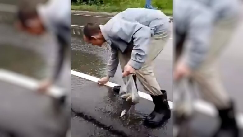После дождя водители ловили рыбу на дороге в Тверской области