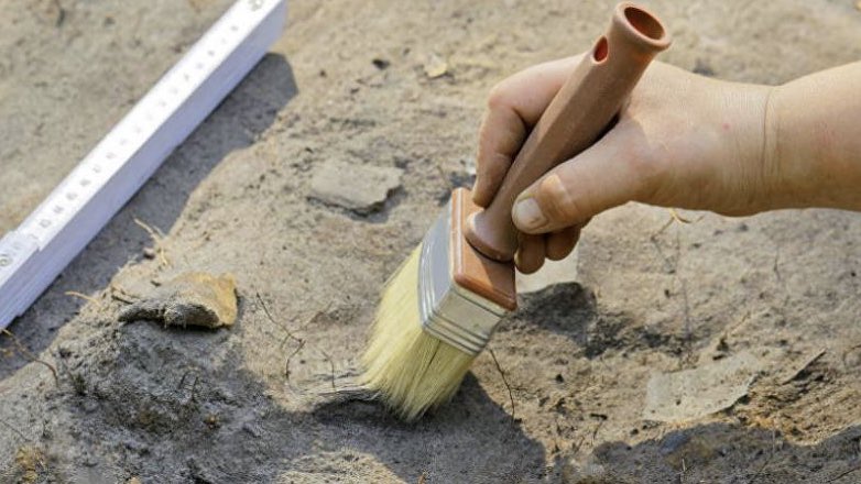 В Коммунарке археологи обнаружили монеты времен Золотой Орды