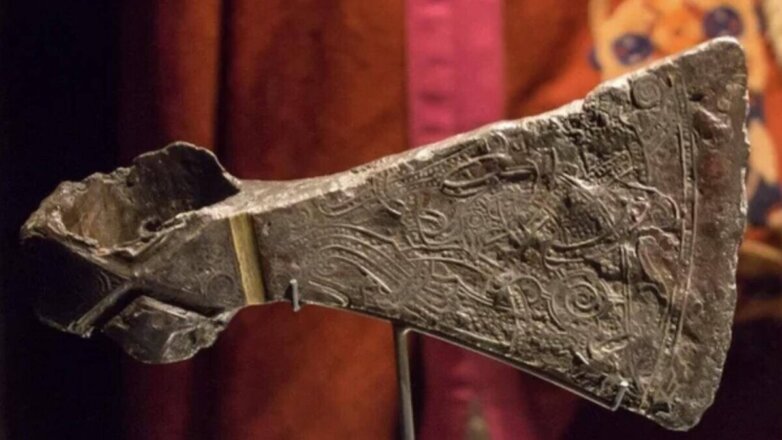 Норвежская семья обнаружила под полом артефакты эпохи викингов