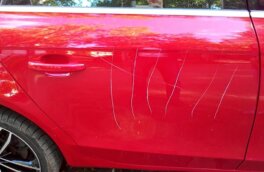 В Германии семилетняя девочка за неделю испортила 37 машин