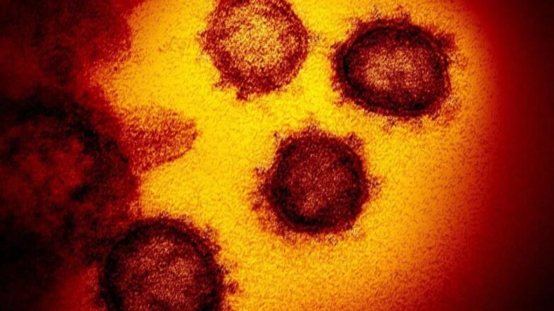 Итальянские ученые выяснили, за какое время солнце убивает коронавирус
