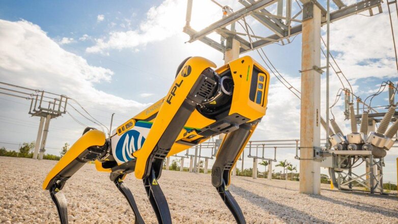 Объявлен старт продажи знаменитого робота-пса Spot
