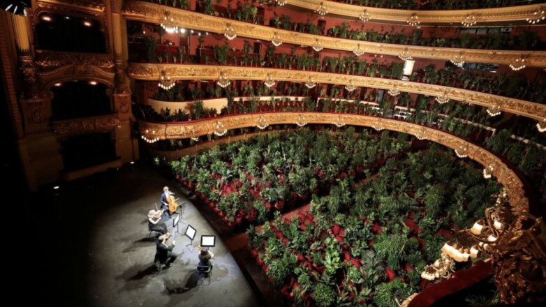 В Барселоне оперный театр открыл сезон концертом для растений