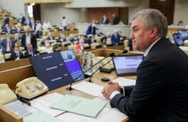 Госдума приоритетно рассмотрит новый пакет мер по защите граждан от мошенничества