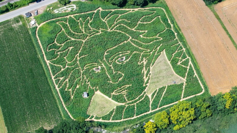 В Германии на поле появился гигантский портрет Бетховена