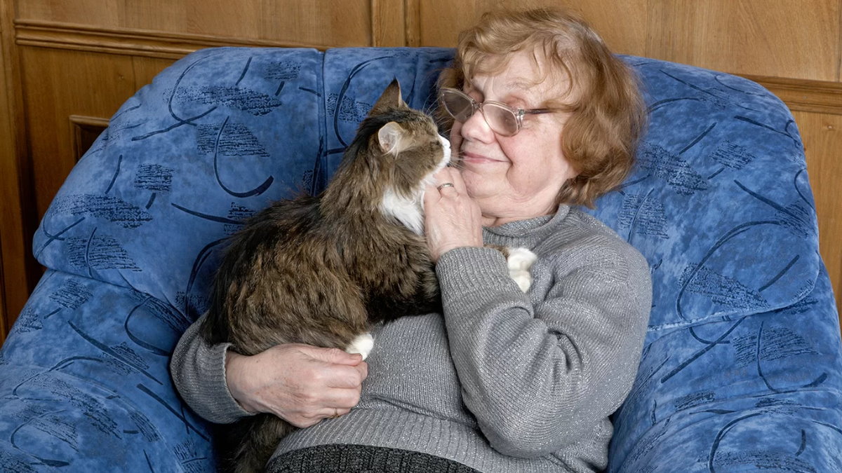 Бабушка пенсионерка улыбается кошка