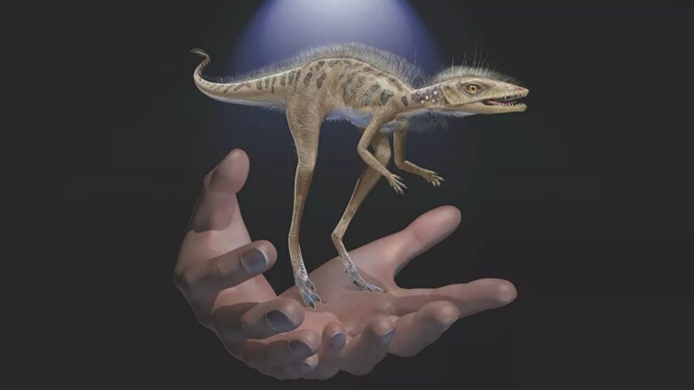 Ученые нашли скелет очень необычного динозавра