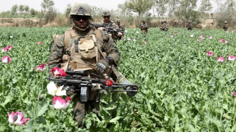 В МИД заявили о причастности разведки США к наркоторговле в Афганистане