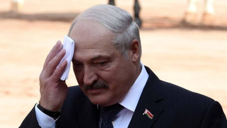Лукашенко не нравится цифровому электорату