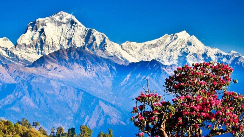 Российская альпинистка рухнула в расщелину при восхождении в Гималаях