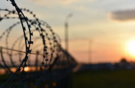 Нарушитель открыл стрельбу на границе Южной Осетии и Грузии