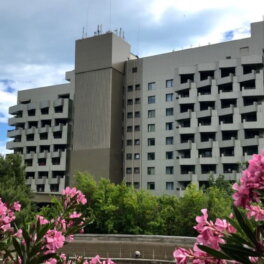 В Крыму выделят 1,9 миллиарда рублей на отдых и оздоровление детей