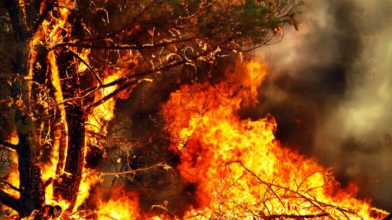 В Калифорнии вспыхнули рекордные пожары