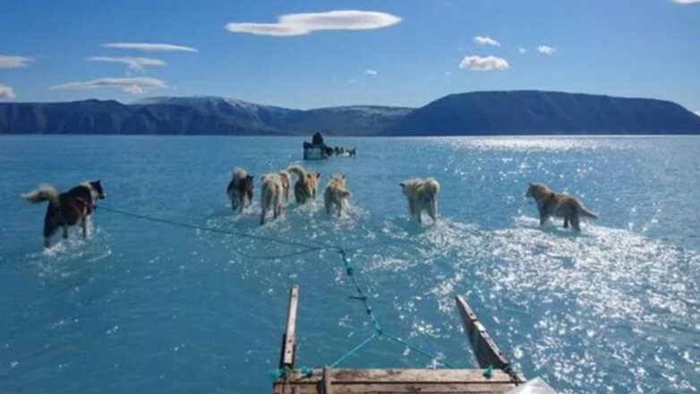 Ледяной щит Гренландии превратился в водный из-за стремительного таяния льда: видео