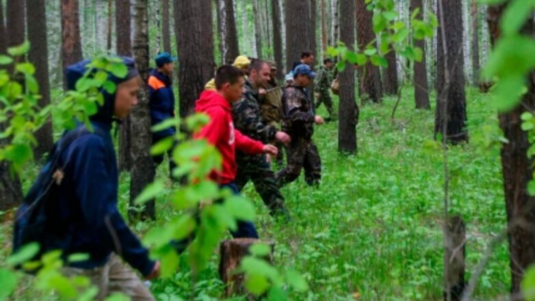 Спасатели рассказали, кто чаще других теряется в лесу