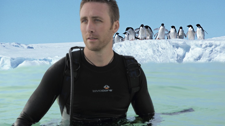 Пингвинам в Антарктиде предсказали скорое исчезновение