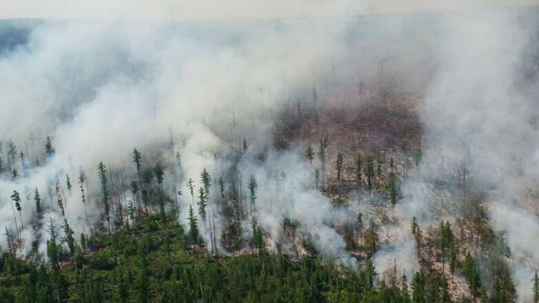 В столицу Якутии принесло дым от лесных пожаров