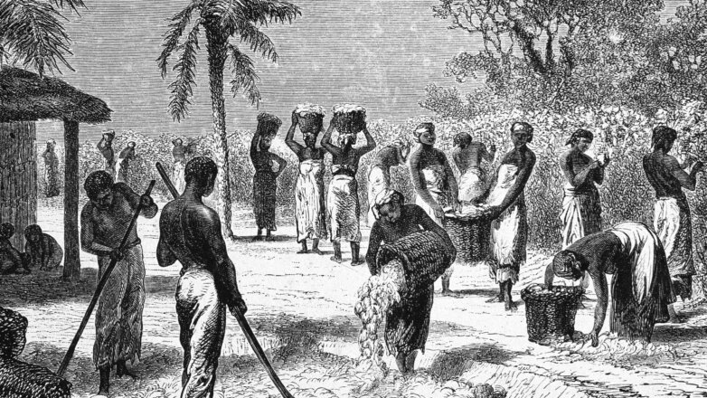 Генетики выяснили, откуда в США ввозили рабов