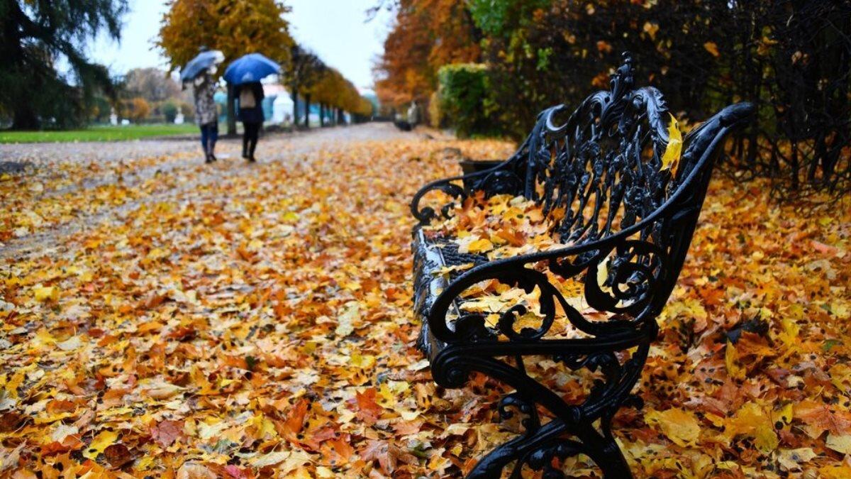 В последние дни октября в Центральную Россию придет потепление