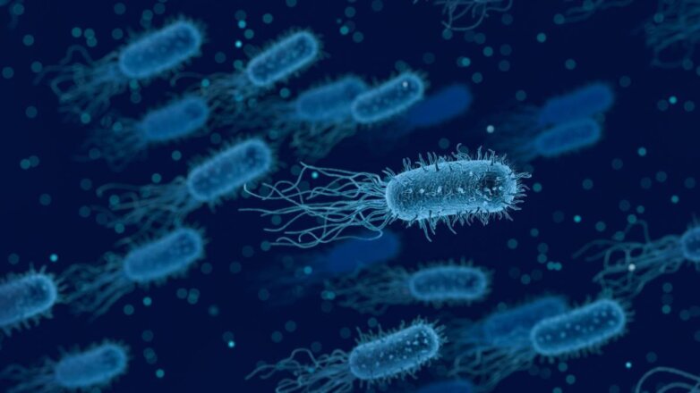 Бактерии приблизили ученых к разгадке появления жизни на Земле