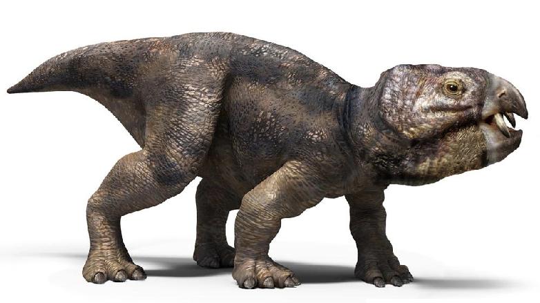 Обнаружена схожая привычка у динозавров и современных животных