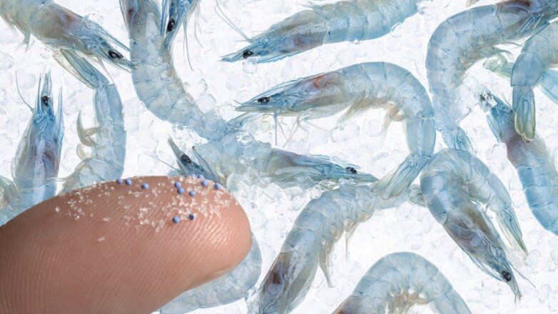 Ученые обнаружили пластик в пяти видах морепродуктов