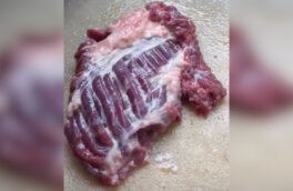 Видео с «живым» куском сырого мяса на разделочной доске шокировало сеть