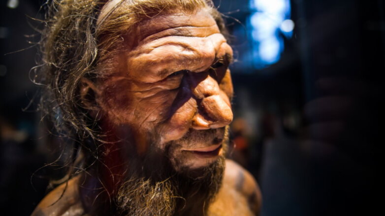 Ученые выяснили, почему человек не унаследовал мощные мышцы неандертальцев