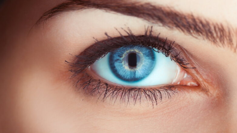 392244 Голубые глаза голубой девушка зрение