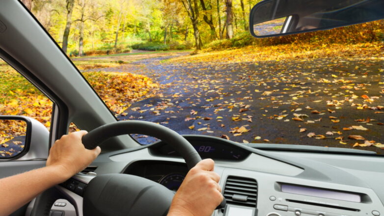 Водителей предупредили об опасностях управления автомобилем осенью