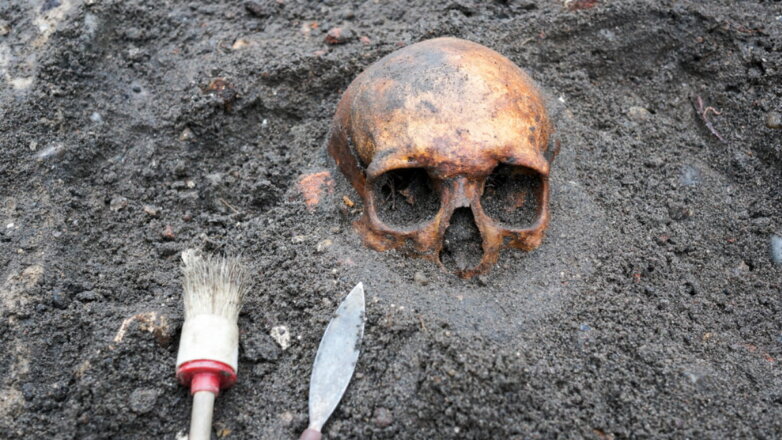 Археологи выяснили, что уничтожило население Сибири 4000 лет назад