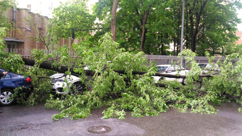 ураган в Москве