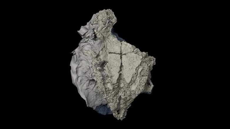 Неожиданная находка «переписала» историю акул