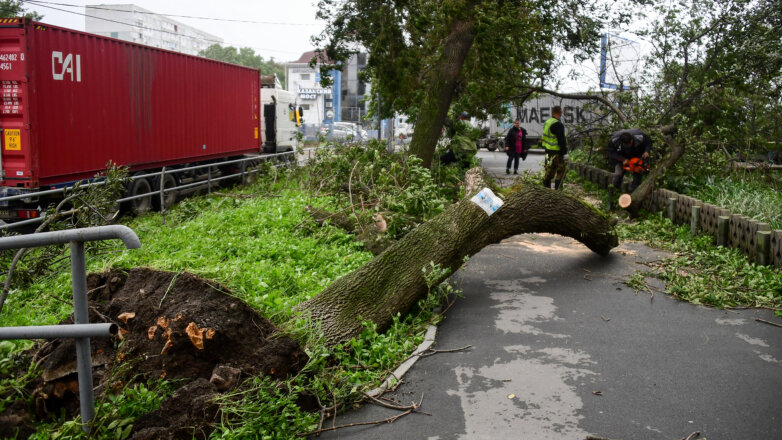 На Владивосток обрушился ураган рекордной силы