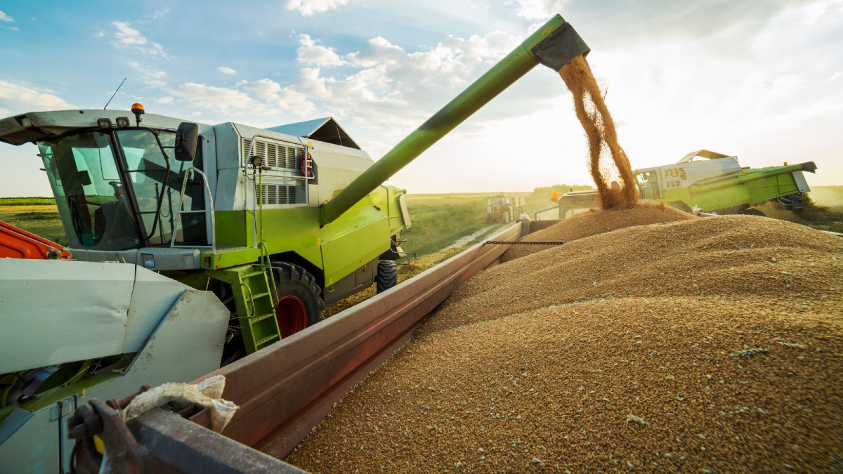 В МИД заявили, что Россия планирует экспортировать в этом году 37 миллионов тонн зерна