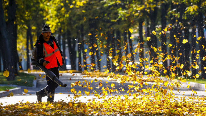 Мужчина убирает листья в парке