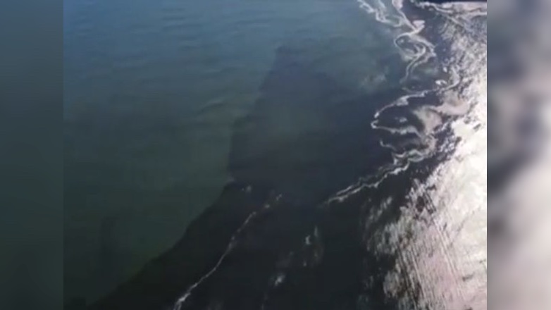 Масштабы загрязнения воды на Камчатке показали с вертолета: видео