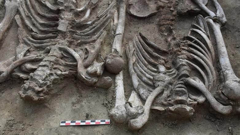 В Сибири нашли «жуткую» братскую могилу возрастом 5000 лет