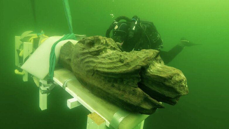 Археологи нашли «зверя из глубин» на месте кораблекрушения XV века
