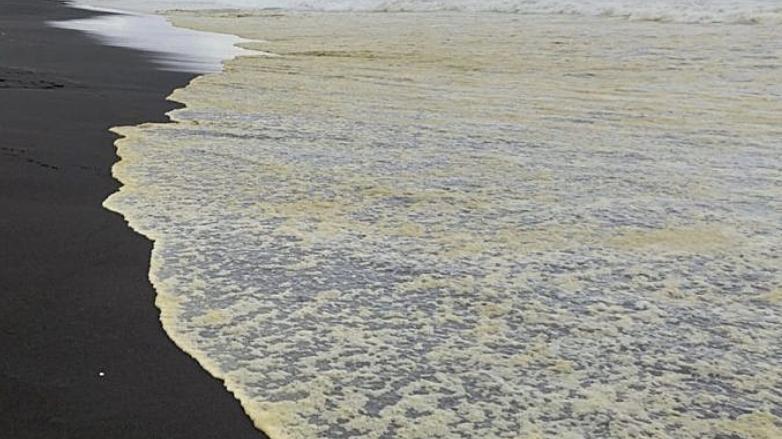 Спутники нашли сбрасывавшее отходы у берегов Камчатки судно