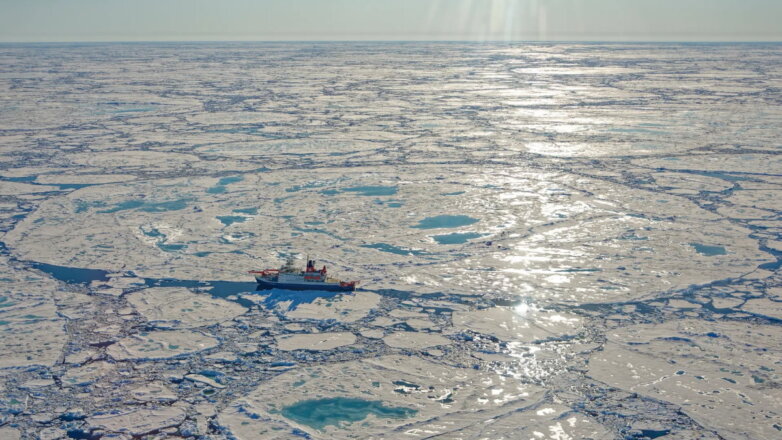 Ученые рассказали о связи льдов Арктики и Антарктики