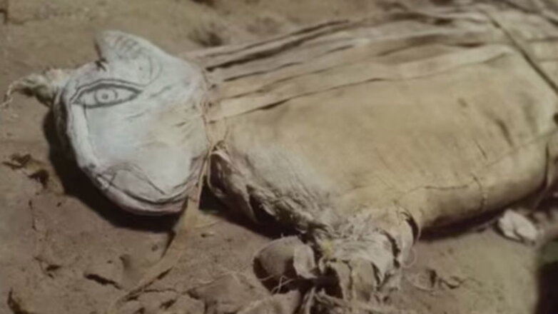В Египте обнаружили «меняющую древнюю историю» мумию