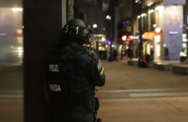 Полиция уточнила число жертв теракта в Вене: видео