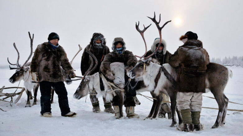 Север пока крайний: есть ли будущее у арктических регионов