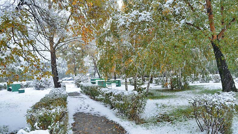 Осень первый снег температура минус Москва