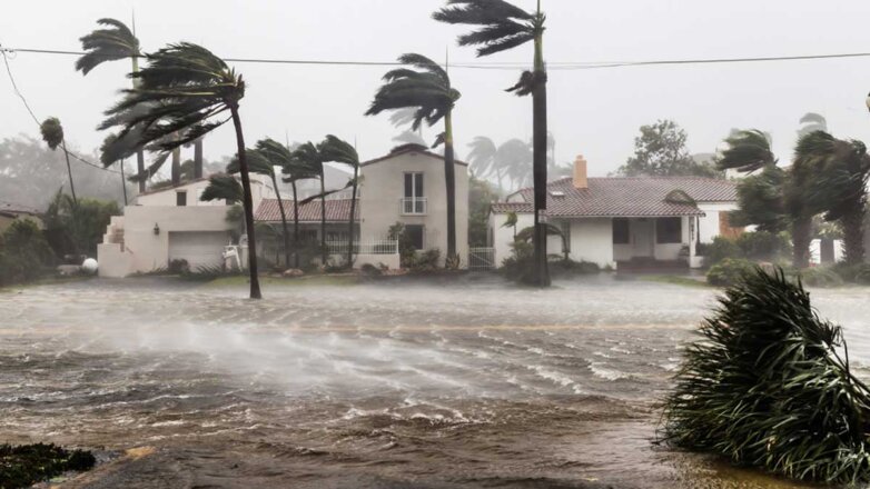 Метеорологи решили больше не давать ураганам имена Иэн и Фиона