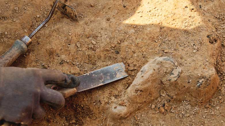 Археологи нашли останки самых древних близнецов в истории