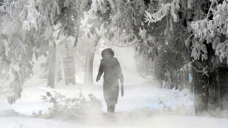 Жителям Центральной России пообещали 25-градусные морозы